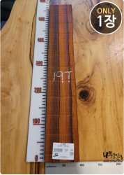 CO122 코코볼로 네츄럴판재 / 건조 <br>사이즈 사진 참조