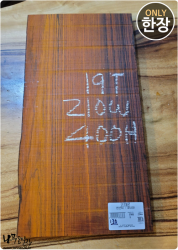 CO130 코코볼로 네츄럴판재 / 건조 <br>사이즈 사진 참조