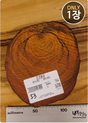 COs53 코코볼로 슬라이스 16t / 건조 <br>사이즈 사진 참조