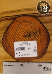 COs56 코코볼로 슬라이스 16t / 건조 <br>사이즈 사진 참조