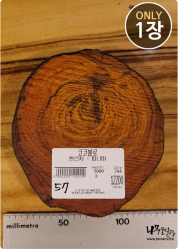 COs57 코코볼로 슬라이스 16t / 건조 <br>사이즈 사진 참조