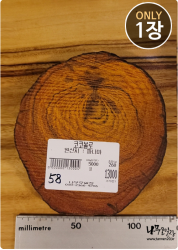 COs58 코코볼로 슬라이스 16t / 건조 <br>사이즈 사진 참조