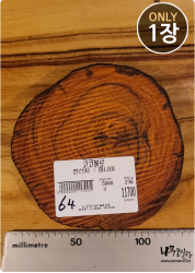 COs64 코코볼로 슬라이스 16t / 건조 <br>사이즈 사진 참조