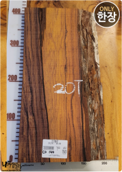 CO140 코코볼로 네츄럴판재 / 건조 <br>사이즈 사진 참조