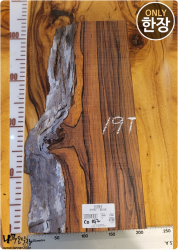 CO142 코코볼로 네츄럴판재 / 건조 <br>사이즈 사진 참조