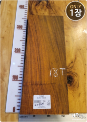 CO167 코코볼로 내추럴판재, 건조 <br>사이즈 사진 참조