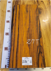 CO168 코코볼로 내추럴판재, 건조 <br>사이즈 사진 참조