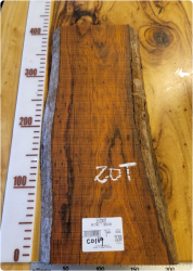 CO169 코코볼로 내추럴판재, 건조 <br>사이즈 사진 참조