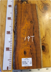 CO170 코코볼로 내추럴판재, 건조 <br>사이즈 사진 참조
