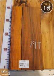 JC114 코코볼로, 건조 <br>사이즈 사진 참조