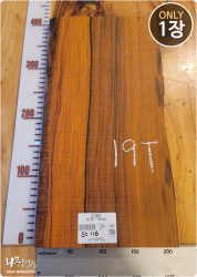 SC116 코코볼로, 건조 <br>사이즈 사진 참조