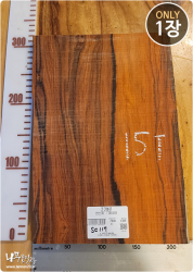 SC117 코코볼로, 건조 <br>사이즈 사진 참조